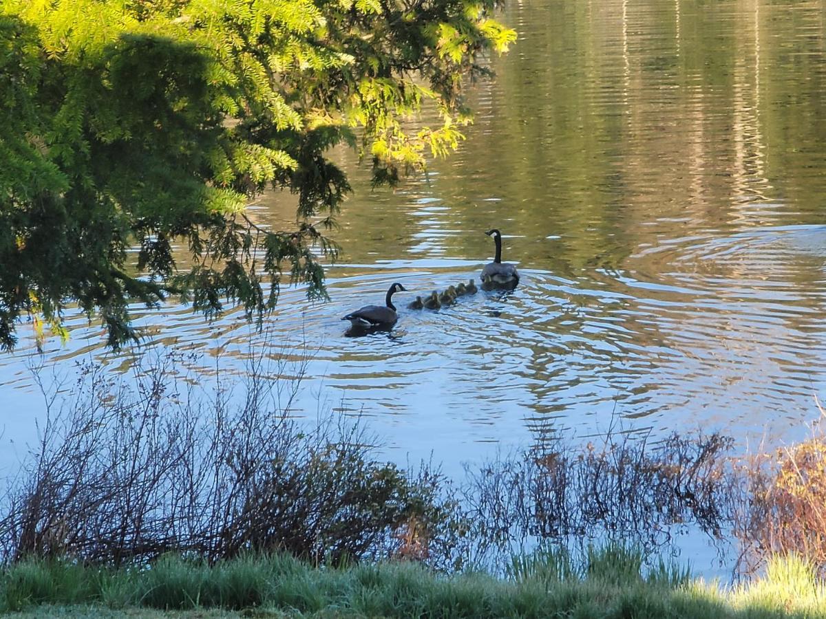 Ladd Pond And Campground, Llc * Colebrook