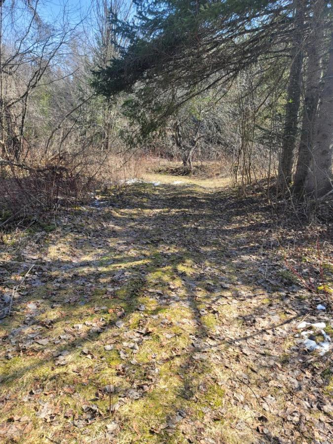 Ladd Pond And Campground, Llc *