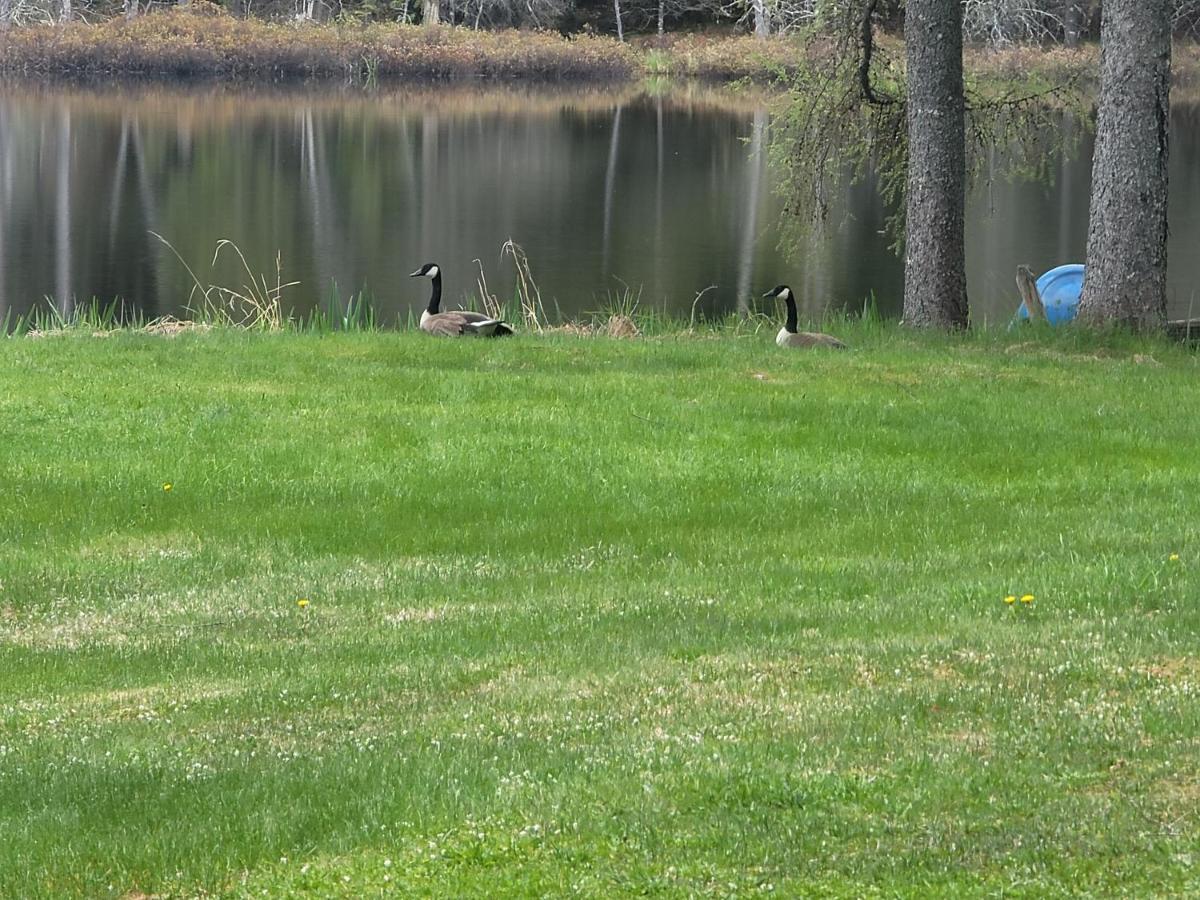 Ladd Pond And Campground, Llc Colebrook