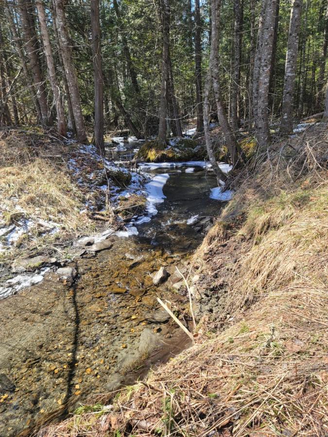 Ladd Pond And Campground, Llc * Colebrook