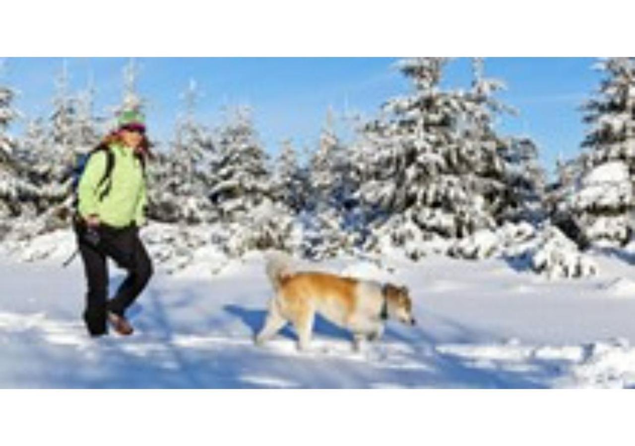 Ladd Pond And Campground, Llc Campsite *