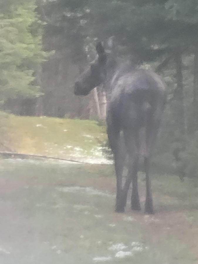 Ladd Pond And Campground, Llc * Colebrook